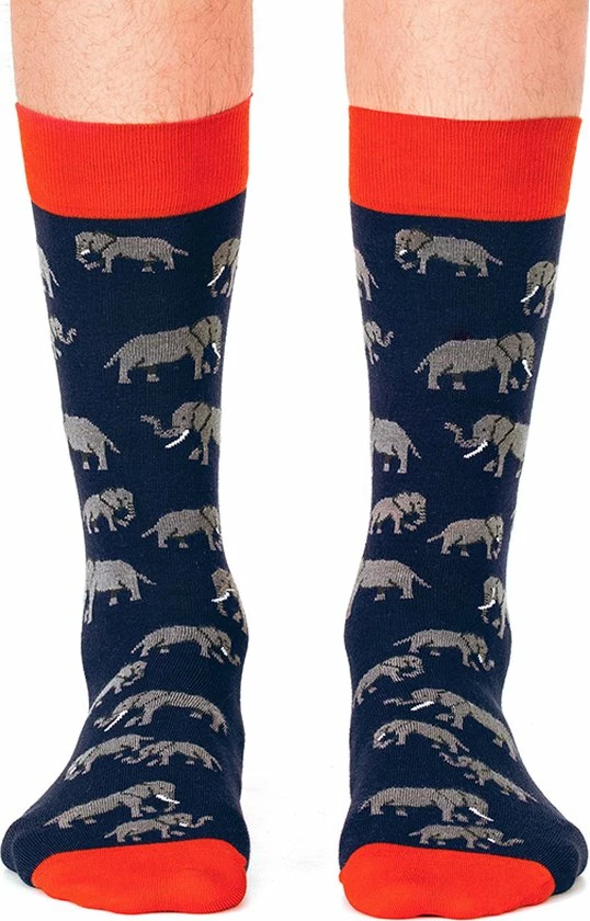 Jimmy Lion Safari Giftbox 4P Multi - 41-46 6 Jimmy Lion Safari Giftbox 4P Multi - 41-46 - Afbeelding 6