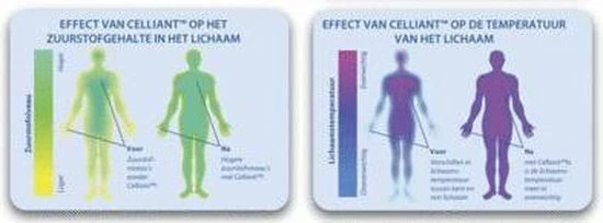 ReflexWear® Reflexwear Diabetes Sokken - Dun - Zwart - Geen Voelbare Naden - Niet Knellend - Schoenmaat: 39-42 2 ReflexWear® Reflexwear Diabetes Sokken - Dun - Zwart - Geen Voelbare Naden - Niet Knellend - Schoenmaat: 39-42 - Afbeelding 2