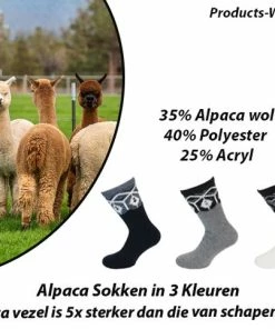 Boru Bamboo 6-Paar Alpaca Wollen Sokken In 3 Kleuren 39-42