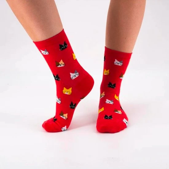 Merkloos Tites Chaussettes - Katten Sokken Giftbox - 5x Lange Sokken - Lange Grappige Sokken - One Size (36-42) - Zwart, Lichtblauw, Rood, Wit, Donkerblauw - Kattenliefhebber - Altijd Goed Cadeau 4 Merkloos Tites Chaussettes - Katten Sokken Giftbox - 5x Lange Sokken - Lange Grappige Sokken - One Size (36-42) - Zwart, Lichtblauw, Rood, Wit, Donkerblauw - Kattenliefhebber - Altijd Goed Cadeau - Afbeelding 4